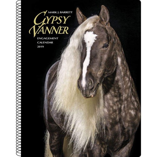 Gypsy vanner horse 2019 - horse,