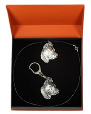 Dogo Canario - Set - Il Cane IN Der Arance Scatola Art Dog