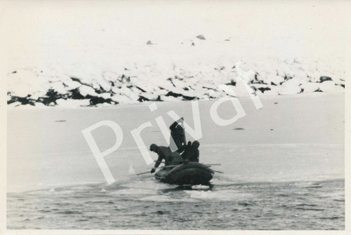 Foto wkii wehrmacht equipaggio - foto,