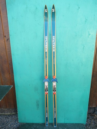 Bellissimi vecchi sci neve - vecchi,