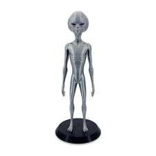 Roswell Statuina Aliena Grigia