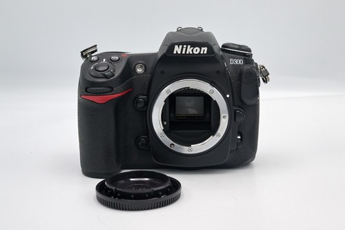 Nikon d300 megapixel - 12,3,