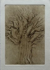 Acquaforte Acquatinta Vecchio