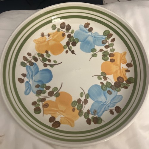 Servizio piatti ironstone - servizio,