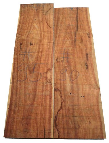 Palissandro legno morado - 1x,