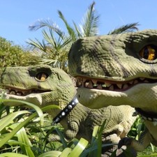 Robot T-Rex / AIBO | dinosauro