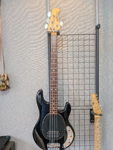 Ernie ball music man stingray - ernie,