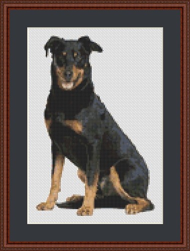 Beauceron kit punto - kit,