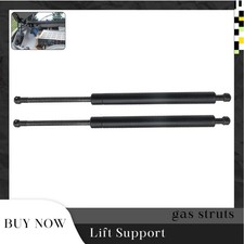 Puntoni a gas supporto