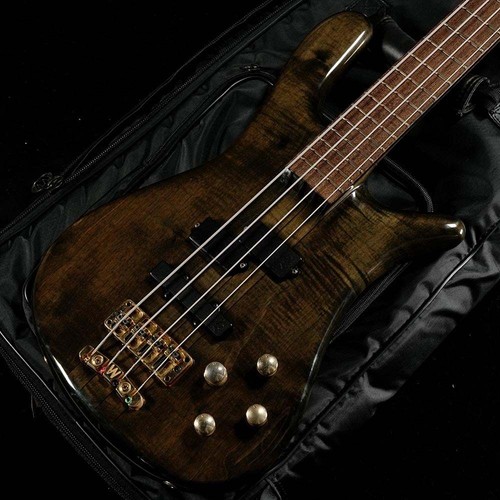 Warwick streamer stage - warwick,