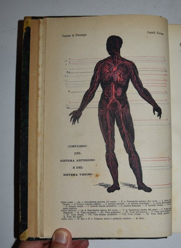 Medicina fig 1883 - fig.,