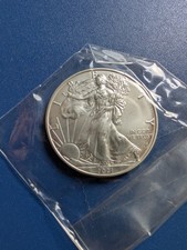 One Dollar In Argento Oncia