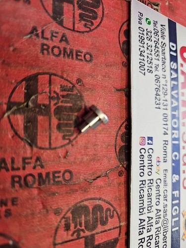 Perno cerniera sportello - perno,
