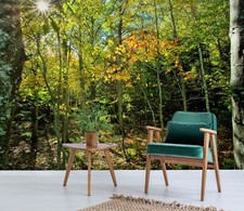 Carta da parati 3D Forest