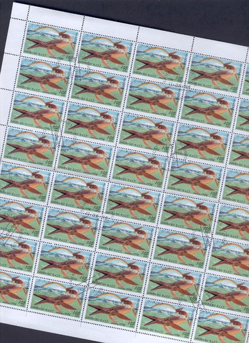Foglio fauna e56 - fauna, animali