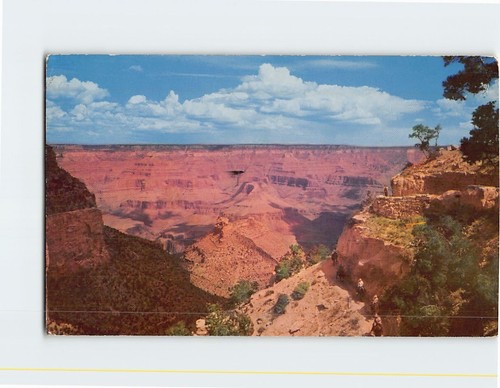Cartolina bright angel trail - cartolina,