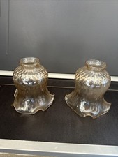 (A4) Lotto Di 2 Tulipani In