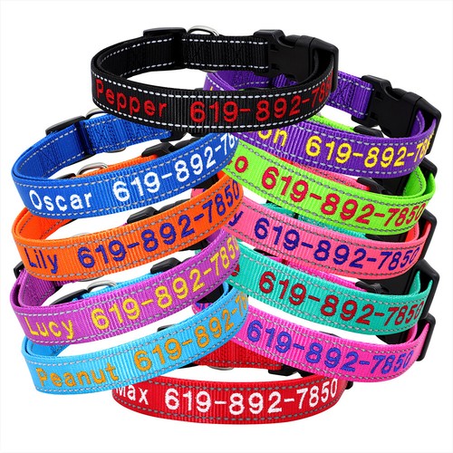 Collare cane personalizzato - collare,