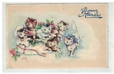 Gatto #17074 Un Gruppo Di