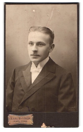 Fotografie karl nyström - fotografie,