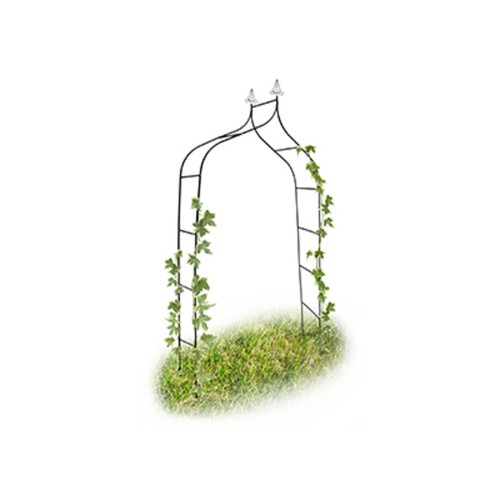 Arco per rose con - , in