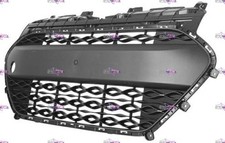GRIGLIA PARAURTI ANTERIORE