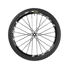 Ruota anteriore mountain bike