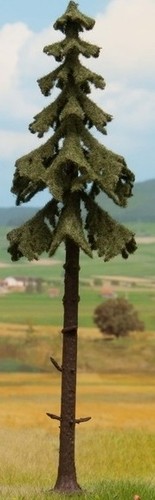 Noch albero rosso - noch,