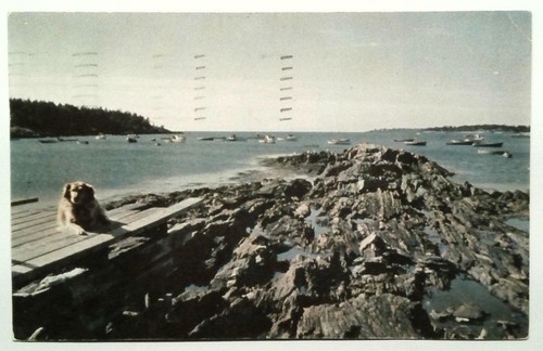 Cartolina epoca orr island - cartolina,