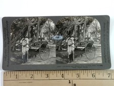 Scheda Stereoview 1900-1924