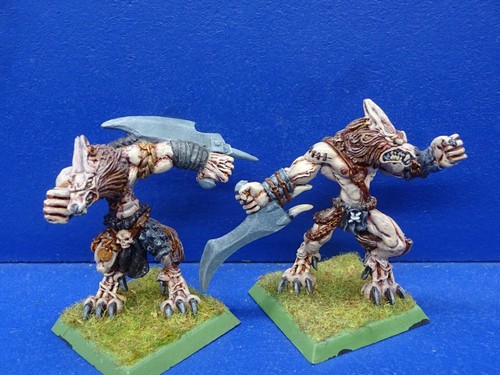 Raro wolfen warriors - warriors, per