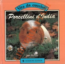 BURTON Jane - Porcellini d'India.