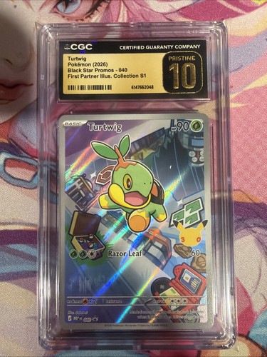 Pokemon turtwig stella nera - pokemon,