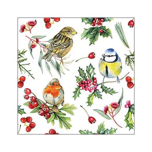 Tovaglioli carta ambiente - di,