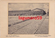 S. Lucia di