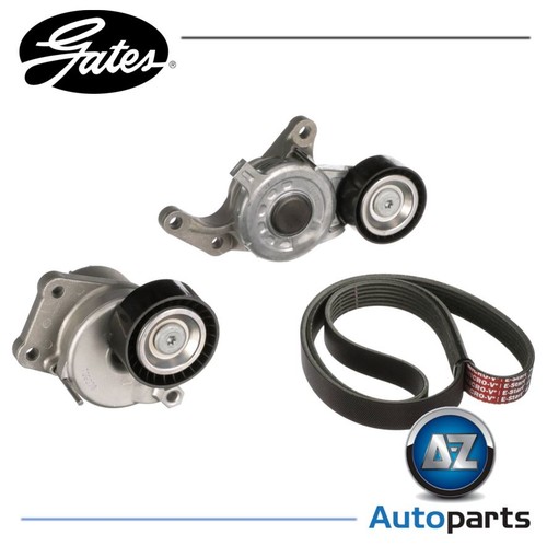 Set cinghia costine - cinghia, a