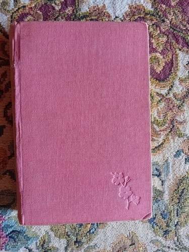 Romanzo castagneto di max - il,