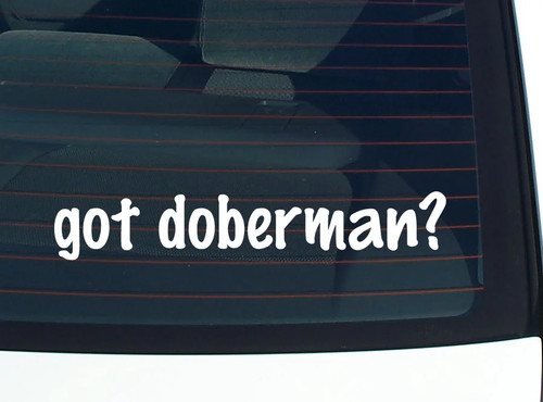 Got doberman decalcomania - doberman?,