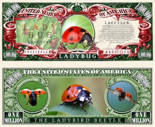 Coccinelle biglietto million - -,