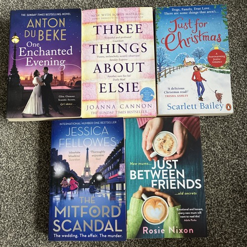 Chick lit books bundle job - lit,