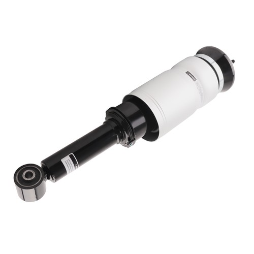 Sospensione pneumatiche strut - sospensione,