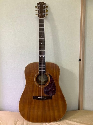 Rara chitarra acustica fender - chitarra,