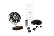 MALOSSI 5119670 VARIATORE PER