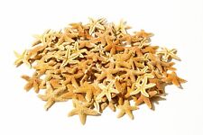 NessaStores - Zucchero