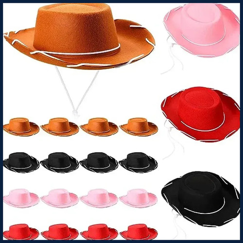 Cappelli cowboy in - cappelli,