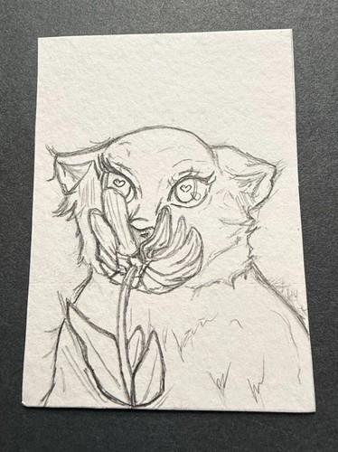 Carta artistica originale aceo - artistica,