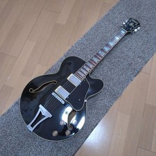 Chitarra elettrica acustica