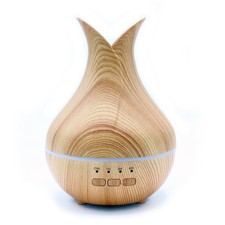 Palermo USB Atomizer Timer