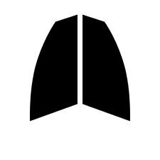 Pre Taglio Finestrino Tonalità per Renault Kangoo Van (Hatchback Stivale) 2007+