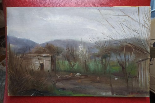 Fernando bernardini parma - fernando,
